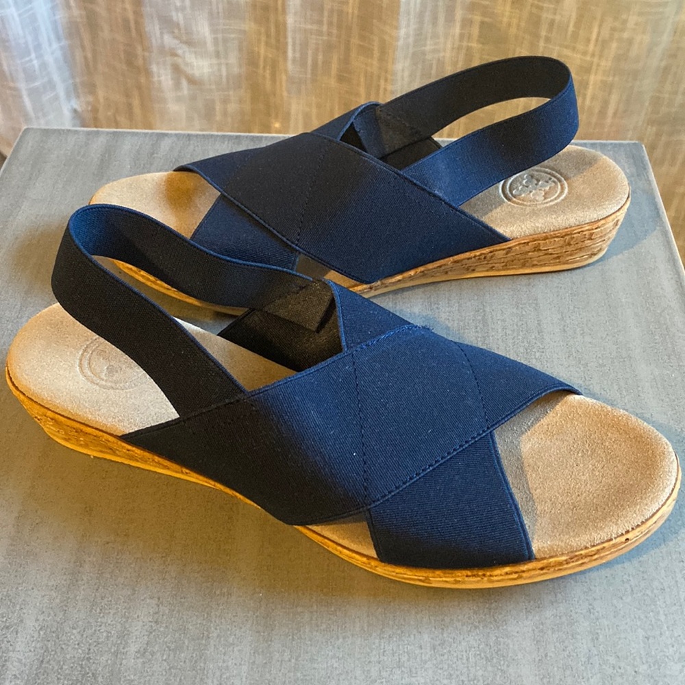 Charleston Blue Wedge Sandals. Size 8  Excellent condition.